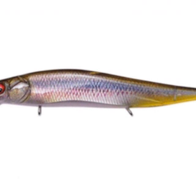 ワイルドルアーズ BREAM 200 Misaki SP ワイルドルアーズ ワイルドビート スローシンキング WILD LURES